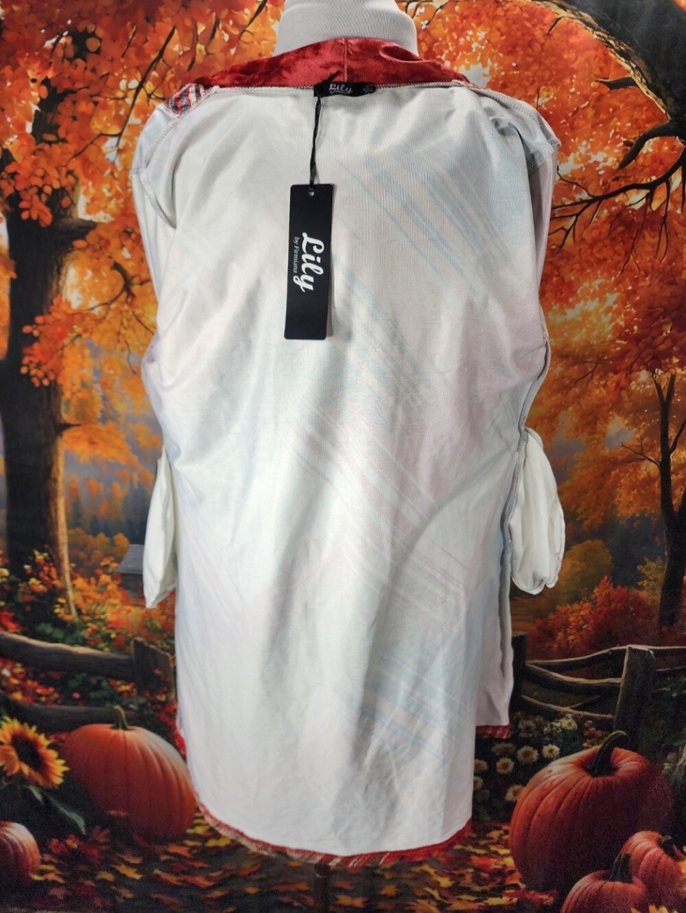 🎨🍁 VELVET Hooded Whimsigoth Bohemian Cardigan Large Buttons Pockets NWT L - Picture 14 of 17